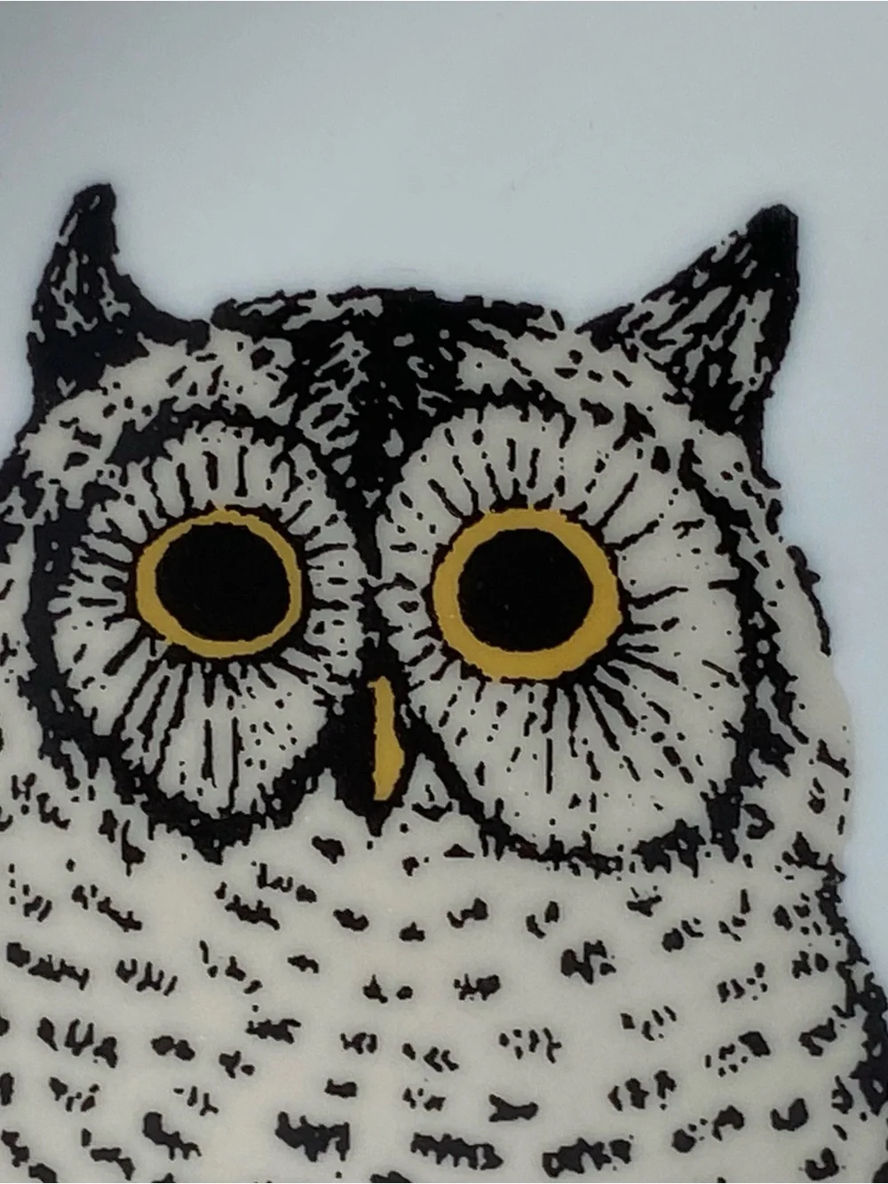 West Elm Owl Plate 8.5” Serving Art Drawing Display Bird Ceramic Birding Tree